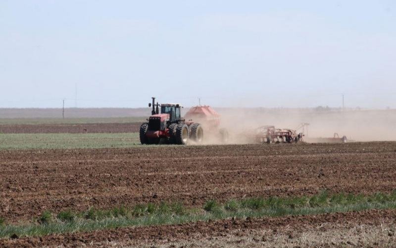 Задолженность по субсидиям в Казахстане погашается поэтапно — МСХ