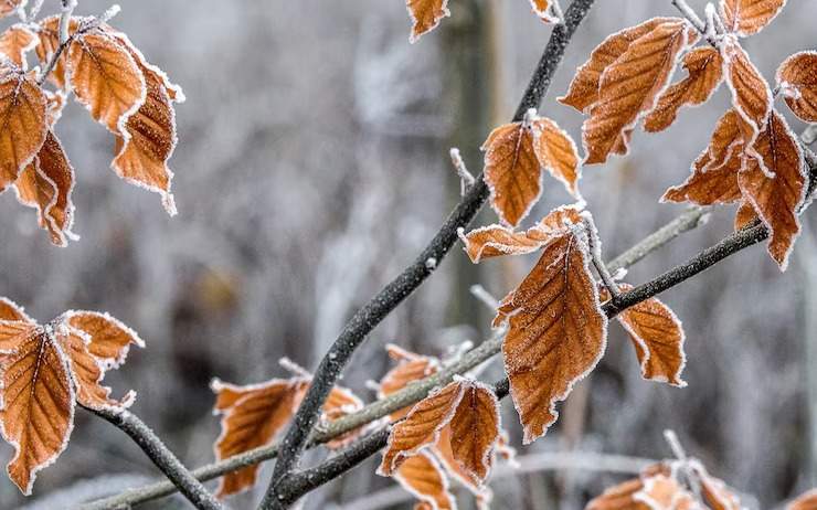 Туман и заморозки: штормовое предупреждение объявили в 14 областях Казахстана