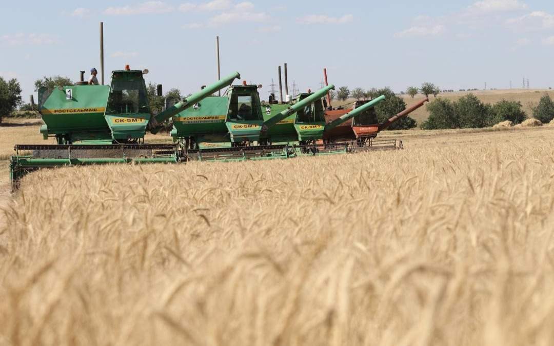 Правительство РК подведет итоги уборочной кампании