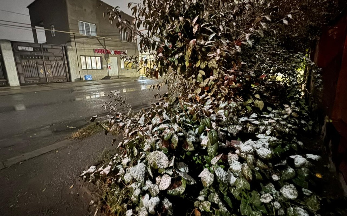 Первый снег выпал в Шымкенте