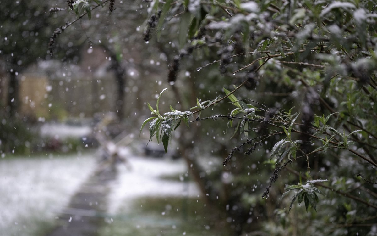 На большей части Казахстана пройдет снег — Казгидромет