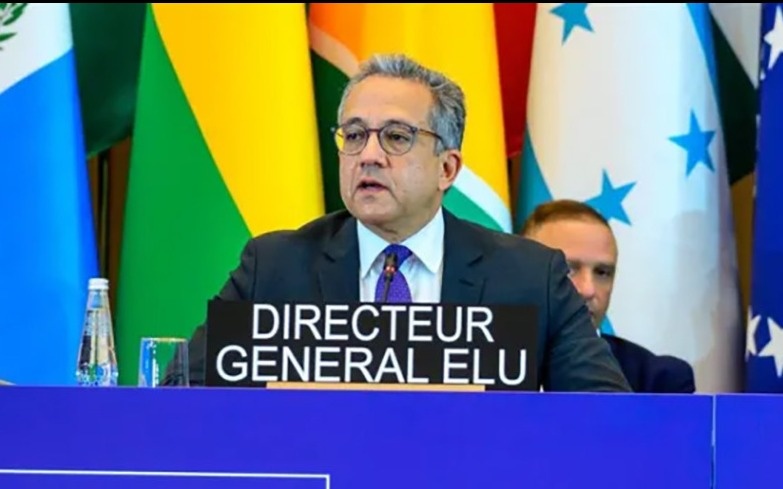 Новым гендиректором ЮНЕСКО назначен Халед аль-Анани