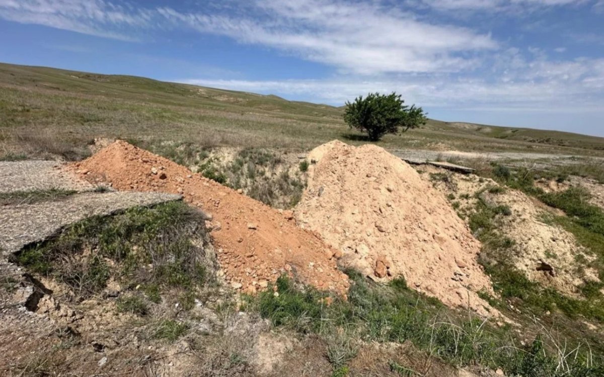 Захоронение сибирской язвы под Алматы: акимат прокомментировал ситуацию