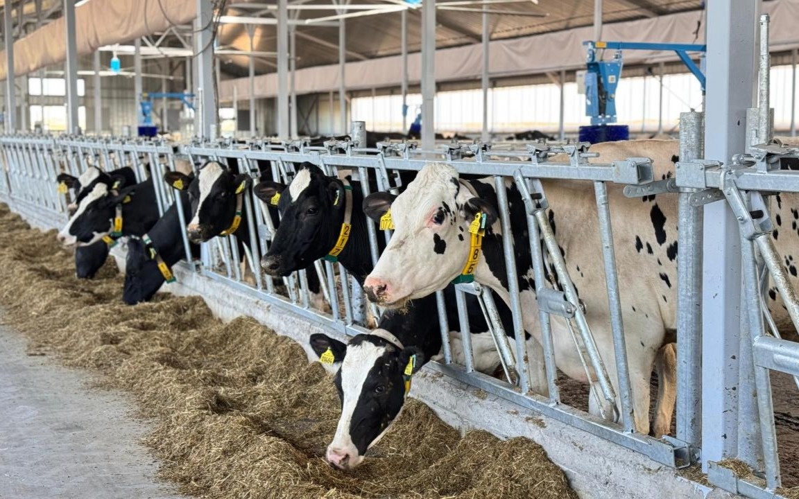 Рост валовой сельхозпродукции вырос в Казахстане на 5,4%