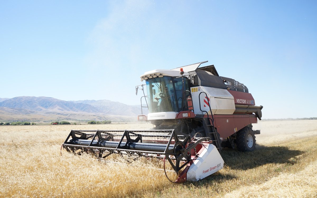 Казахстанские аграрии собрали 27 миллионов тонн зерна