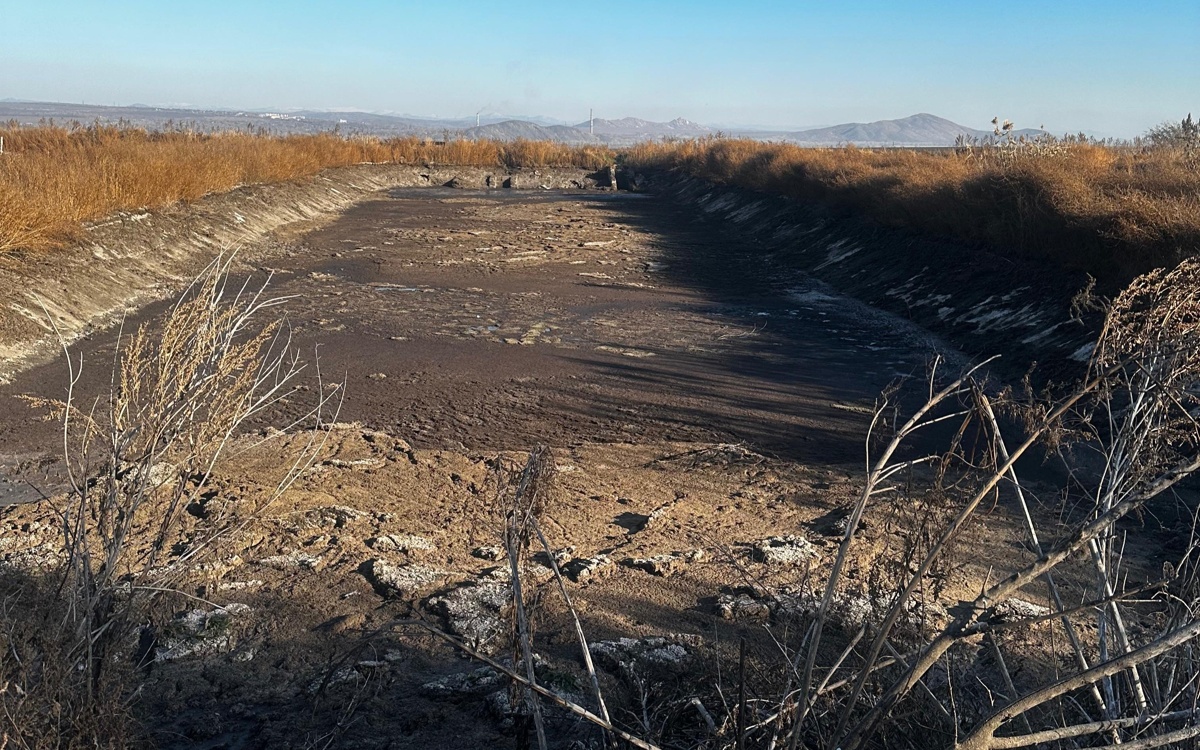 Свиноферму в ВКО привлекли к ответственности за нарушения экологических норм