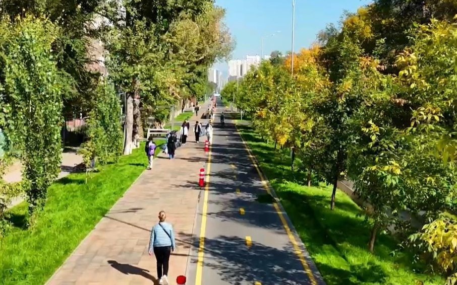 Больше зелени и света — в Алматы на улице Торайгырова завершили масштабное обновление