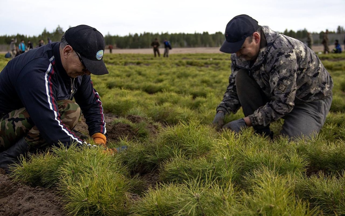 Заработает ли в Кокшетау программа «Е-дендра» на которую было потрачено 54 млн тенге