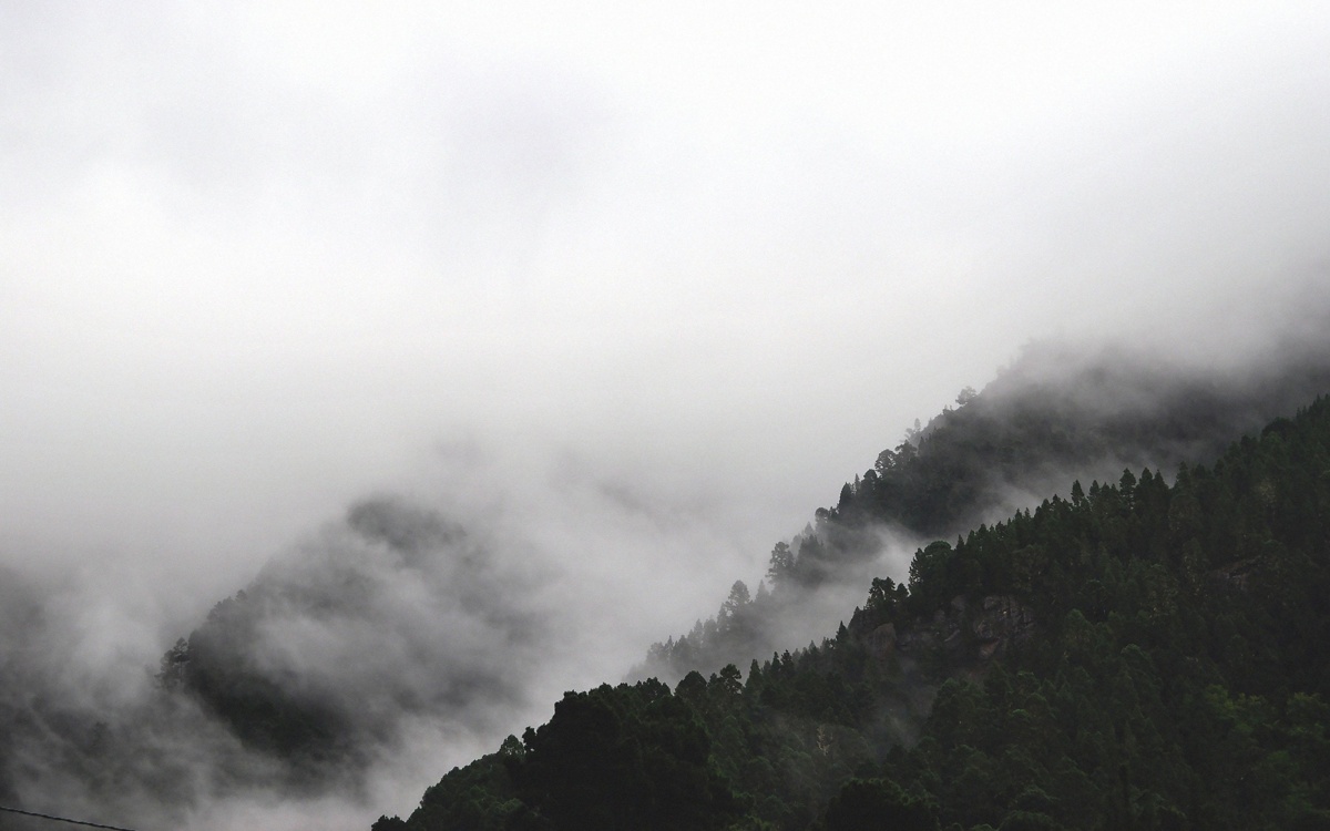 Туманы и ветер ожидаются в большинстве регионов Казахстана 16 ноября