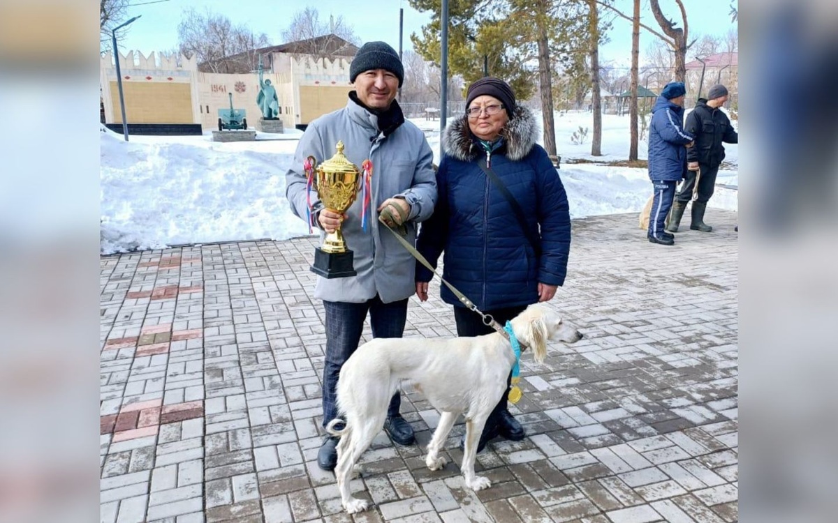 Семья из Жетысу сохраняет и развивает казахскую породу тазы
