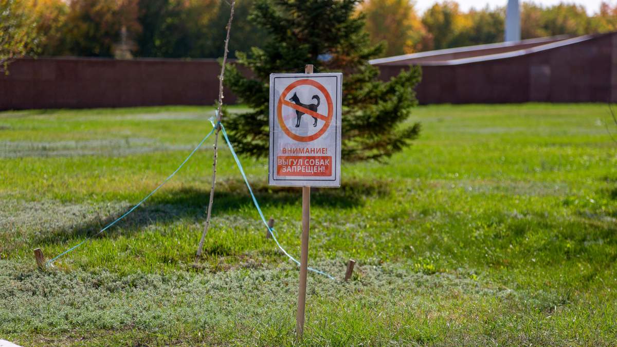 Спецпостановление для исполнения правил выгула животных принимает акимат Астаны