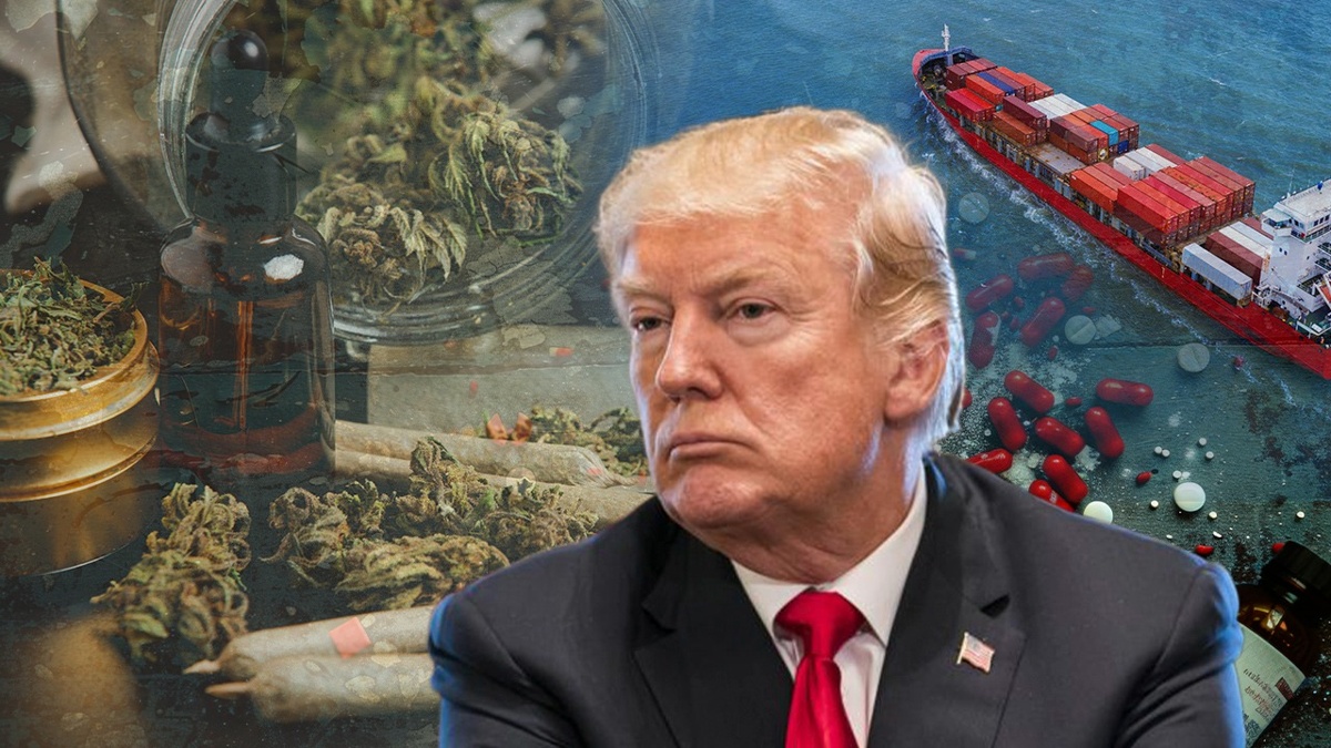 Что известно о наркокартелях из Латинской Америки, с которыми воюет Трамп