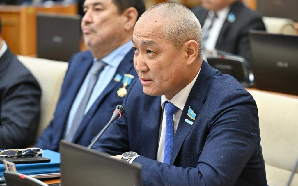 Как депутаты предлагают наказывать за пропаганду ЛГБТ в Казахстане