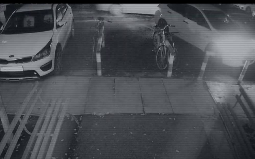 В полиции рассказали, как собирали доказательства по делу об убийстве Яны Легкодимовой