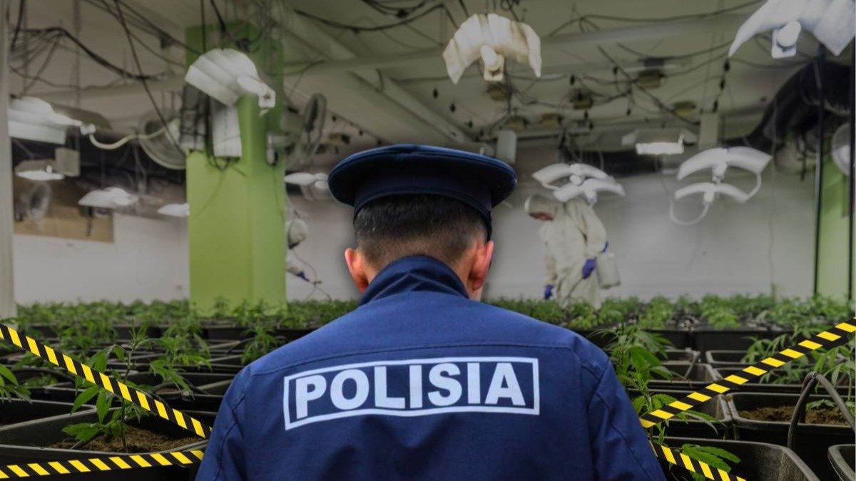 Стоматолога в Жамбылской области задержали с марихуаной в машине