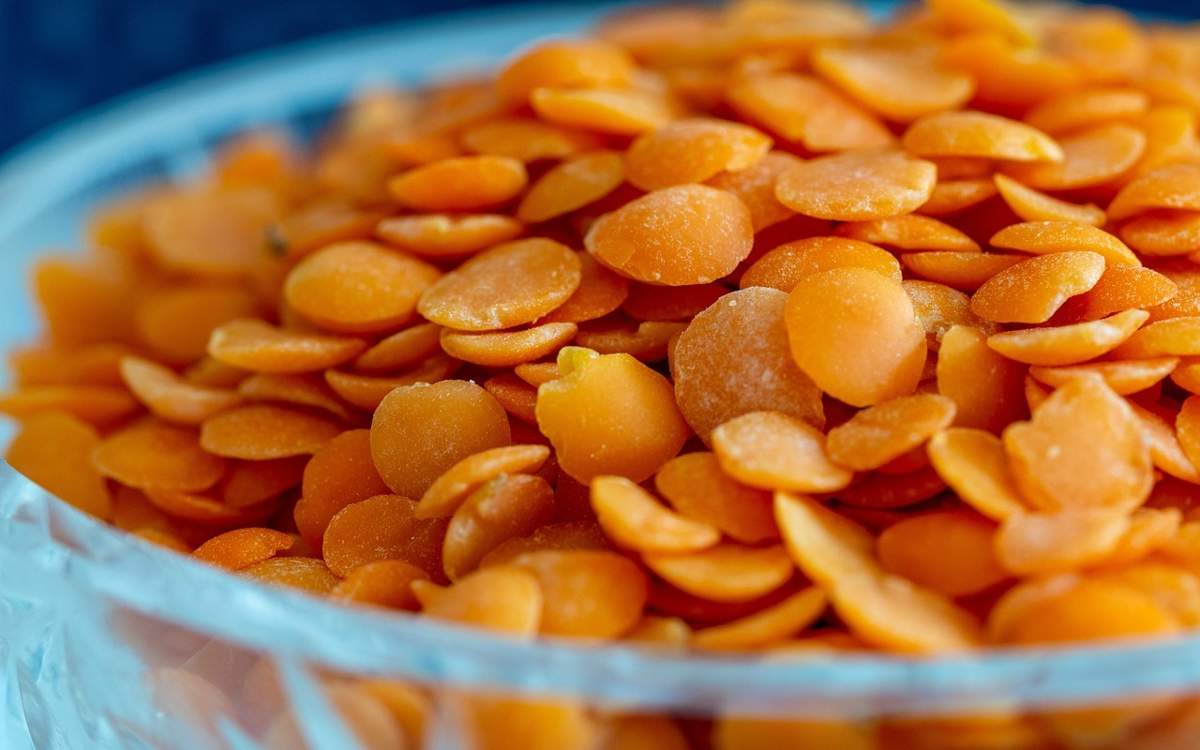 Казахстан поставил в Турцию почти 227 тысяч тонн чечевицы