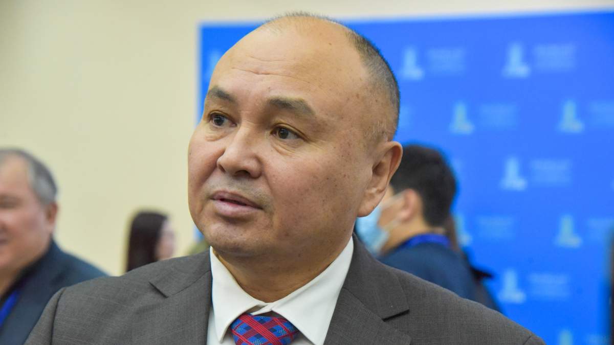 Приостановить выборы районных акимов в Казахстане предложил депутат