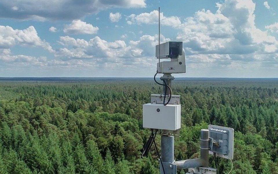 Больше всего лесных пожаров в ВКО за год произошло в Катон-Карагайском нацпарке