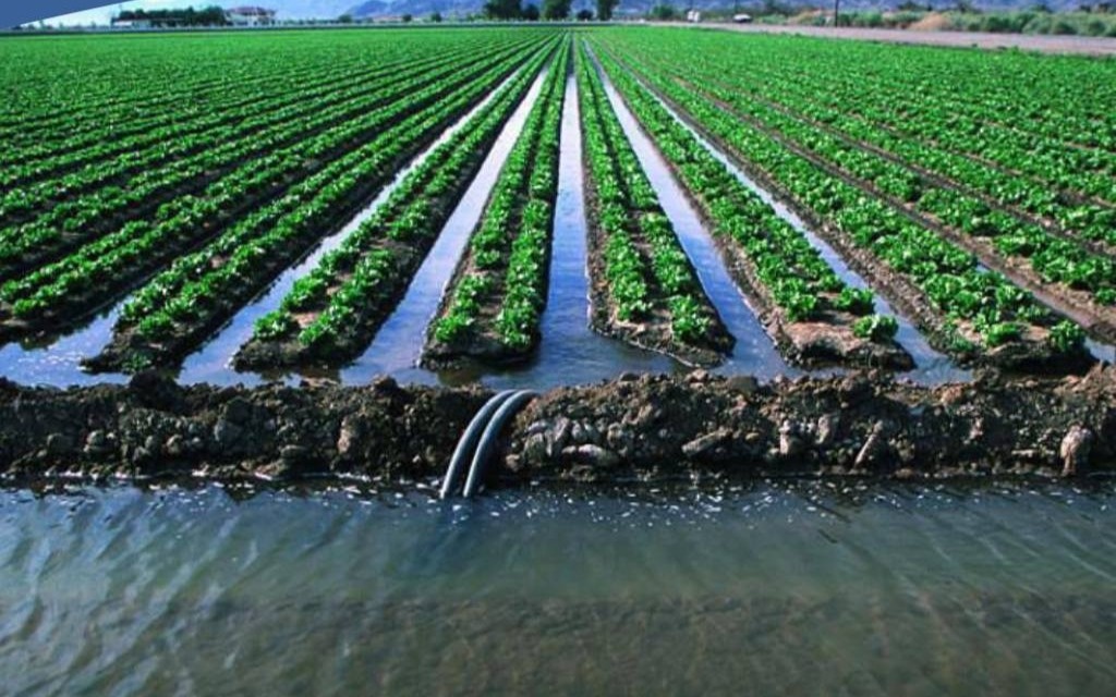 Казахстан тестирует электронные договоры на подачу поливной воды