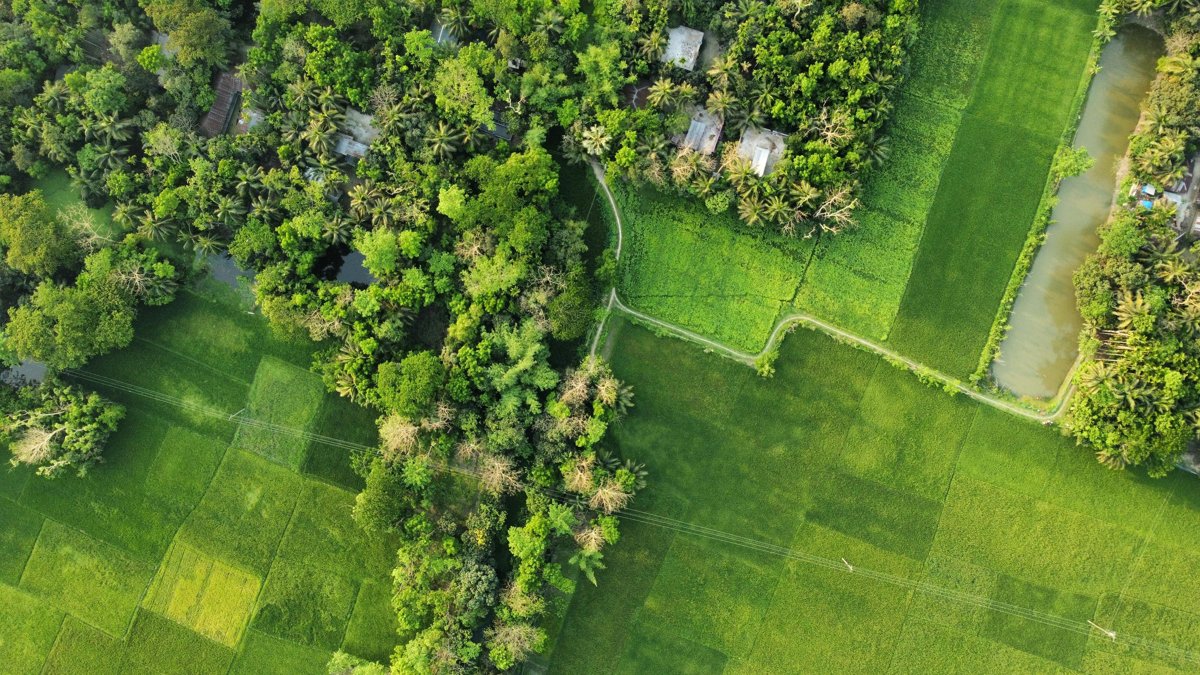 Кто может по очереди получить участок для строительства дома в Костанае