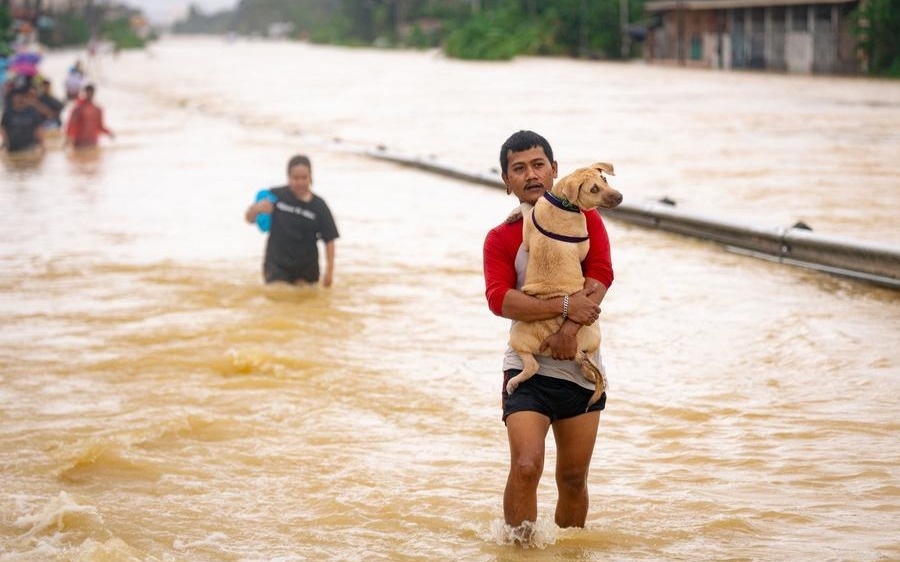 Число погибших в результате наводнения на юге Таиланда возросло до 145 человек