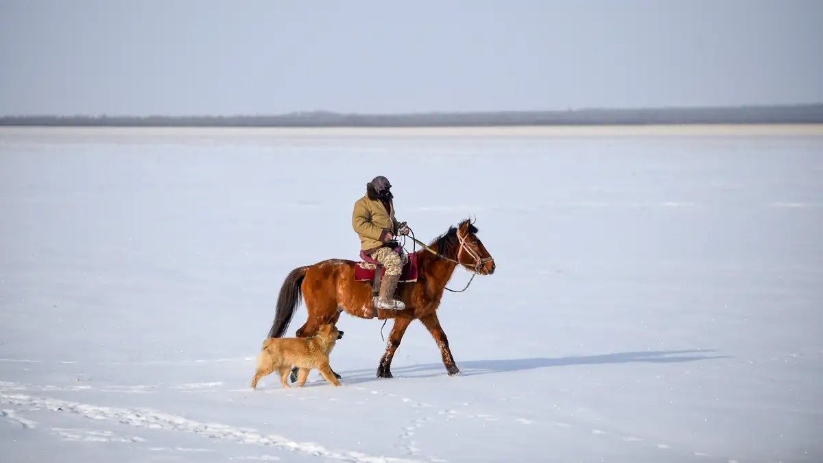На каких животных и птиц можно охотиться зимой в Павлодарской области