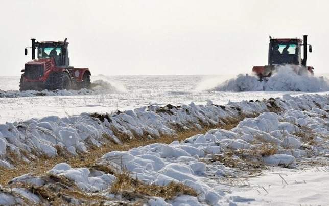 Опасна ли теплая зима для аграриев Казахстана — ответ МСХ