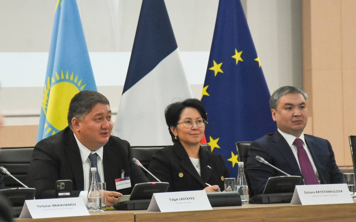 Казахстан и Франция согласовали поставки самолетов