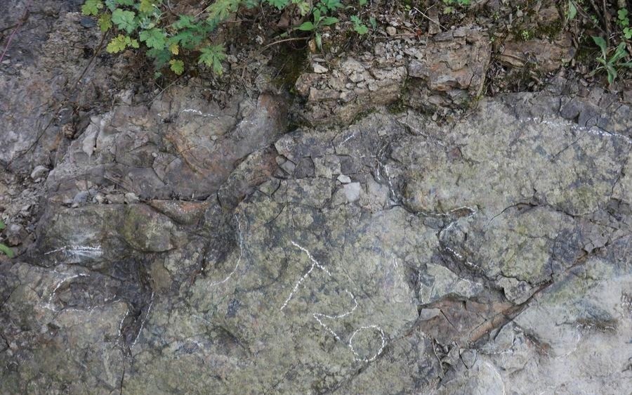 Следы динозавров возрастом около 200 млн лет обнаружены в Китае