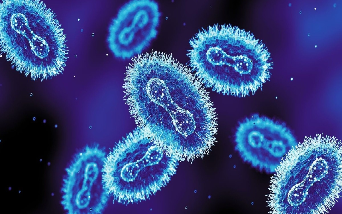 Новый штамм опасного вируса обнаружен в Великобритании