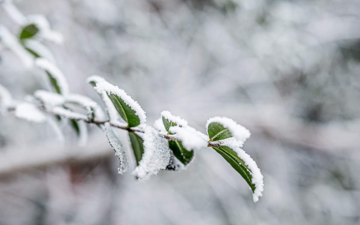 Грязный воздух в Казахстане: что сообщили синоптики
