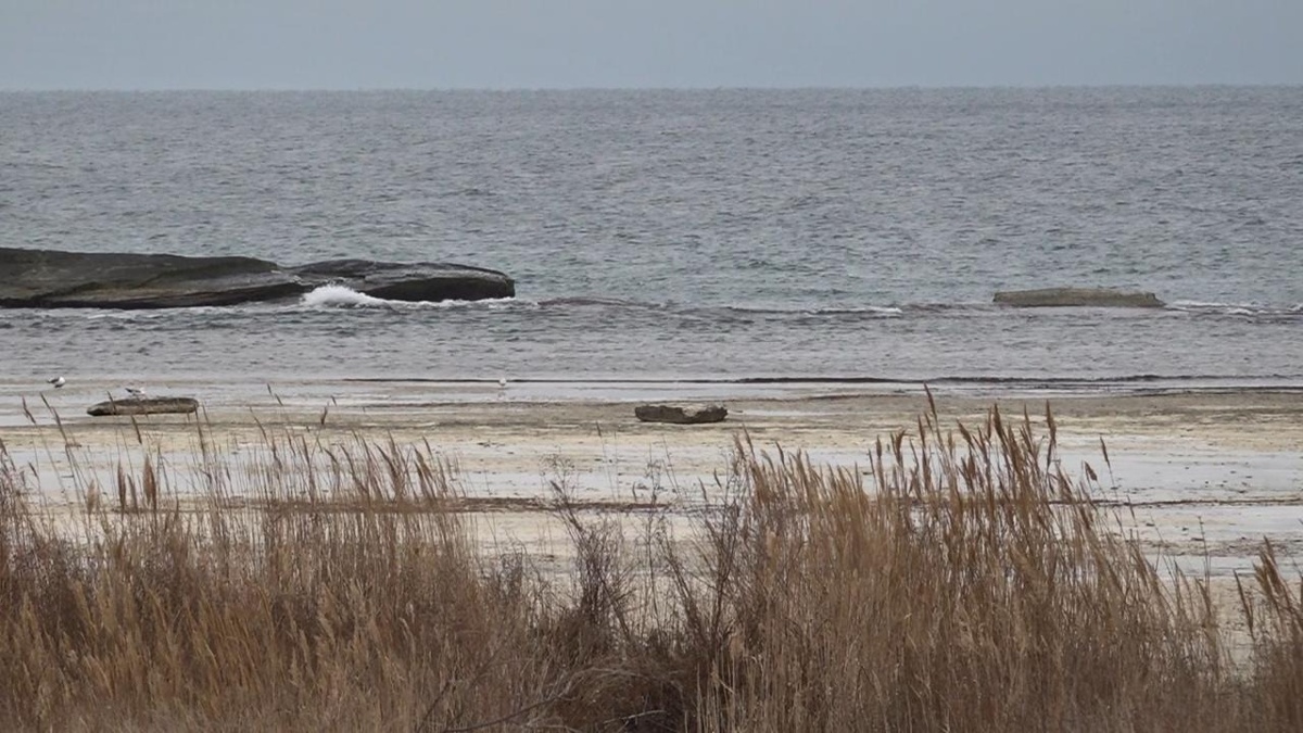 Казахстан и Иран должны совместно обеспечивать экологическую безопасность Каспия — Пезешкиан