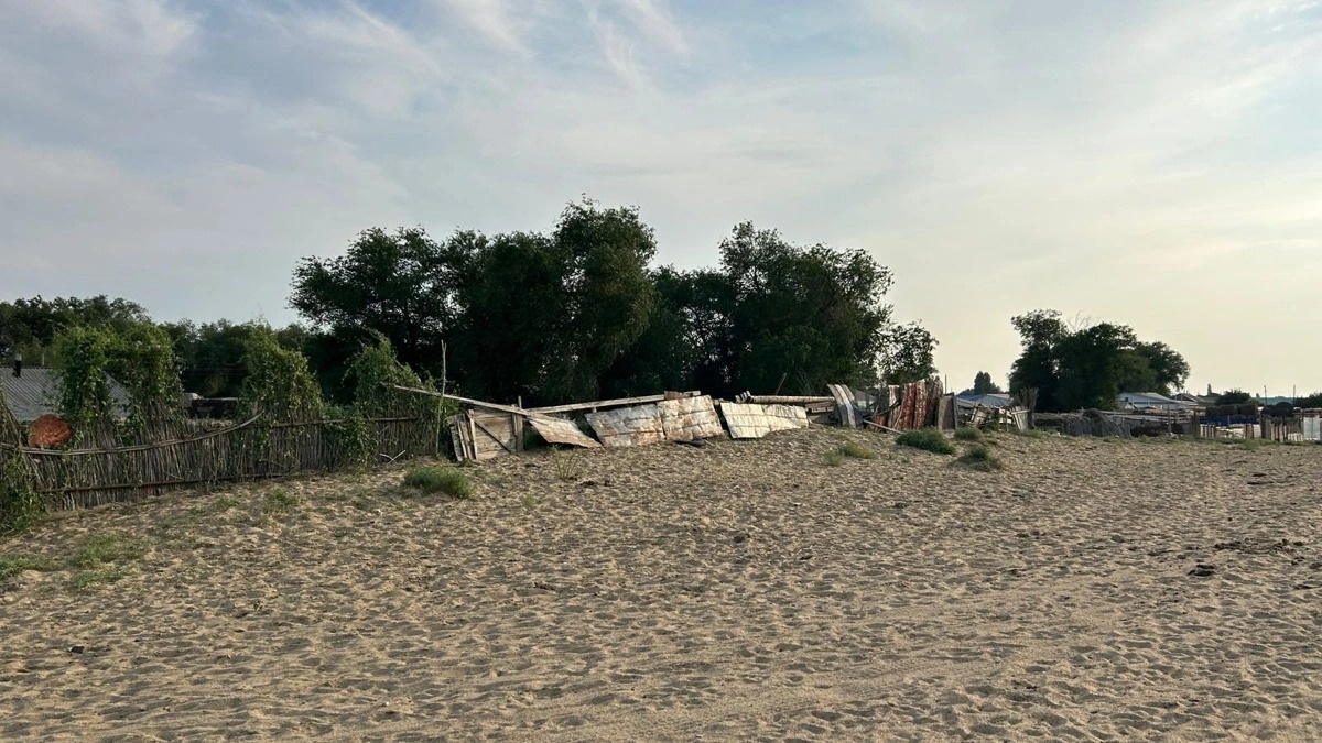 Песок наступает, проект провален: в Актобе судят подрядчика за высохшие саженцы