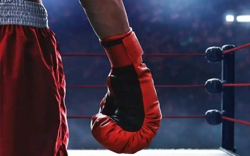 Казахстанские боксеры будут быстрее выходить на титульные бои WBC