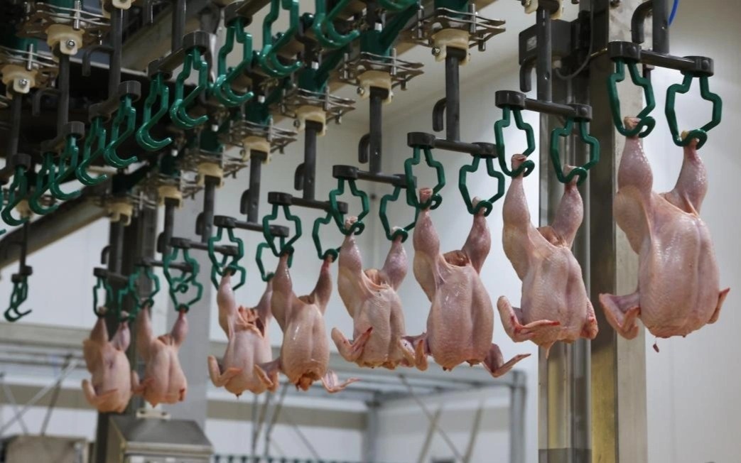 Полиция СКО пресекла незаконный вывоз мяса птицы из села Шаховское