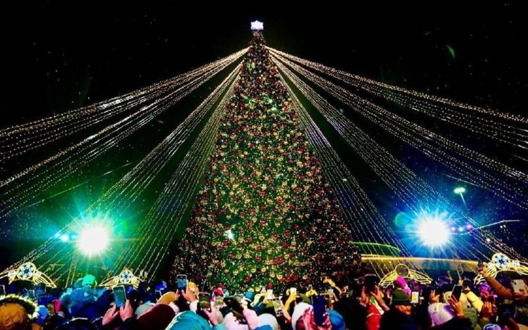 Более 40 новогодних елок одновременно зажгутся в Астане 19 декабря