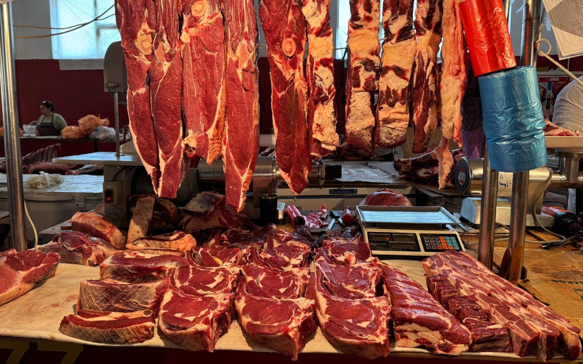 Конину рекомендуют включать в рацион казахстанских школьников и солдат