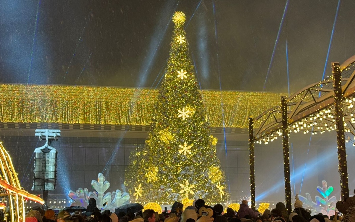 Главную елку зажгли в Алматы