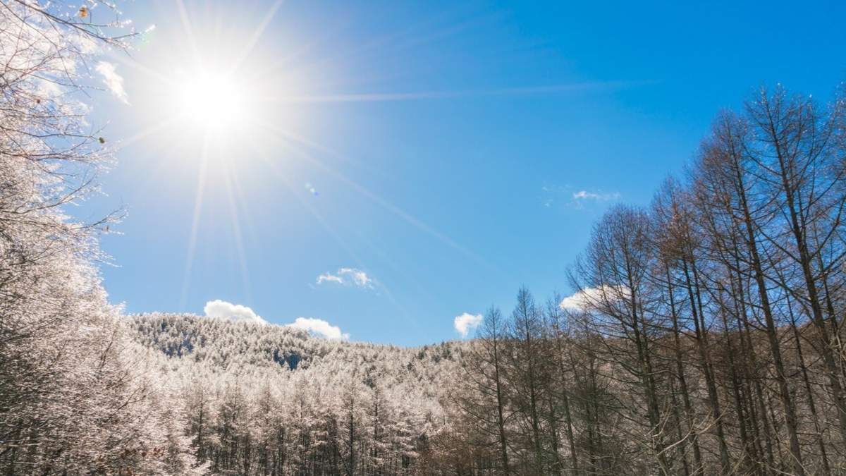 Самый короткий день: 21 декабря наступает зимнее солнцестояние