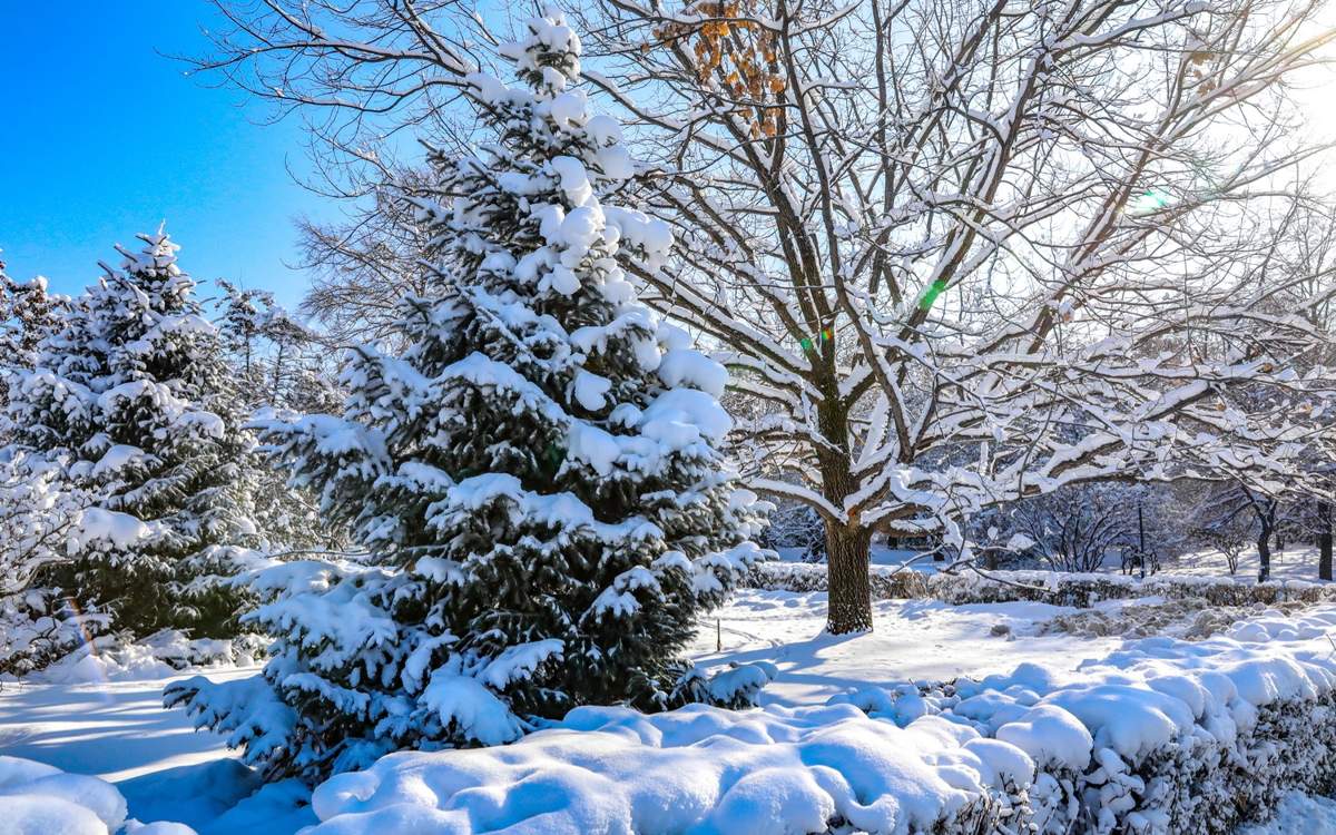 Метели и 40-градусные морозы: каким будет январь в Восточном Казахстане