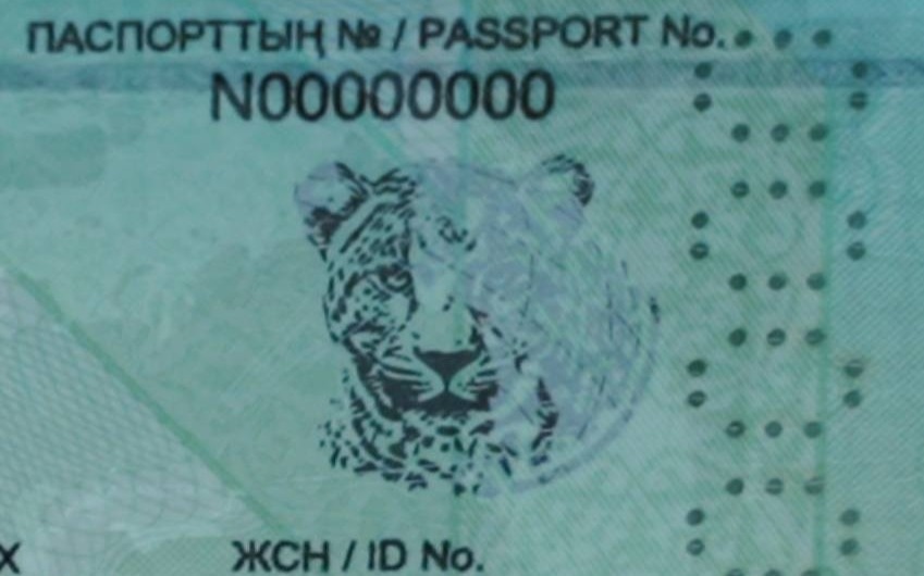 Казахстанский паспорт укрепил позиции в мировом рейтинге