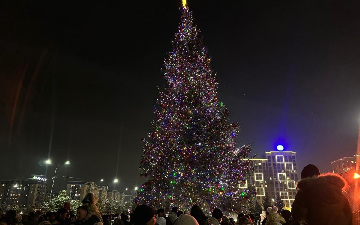 Что будет с живой новогодней елкой в Шымкенте после праздников