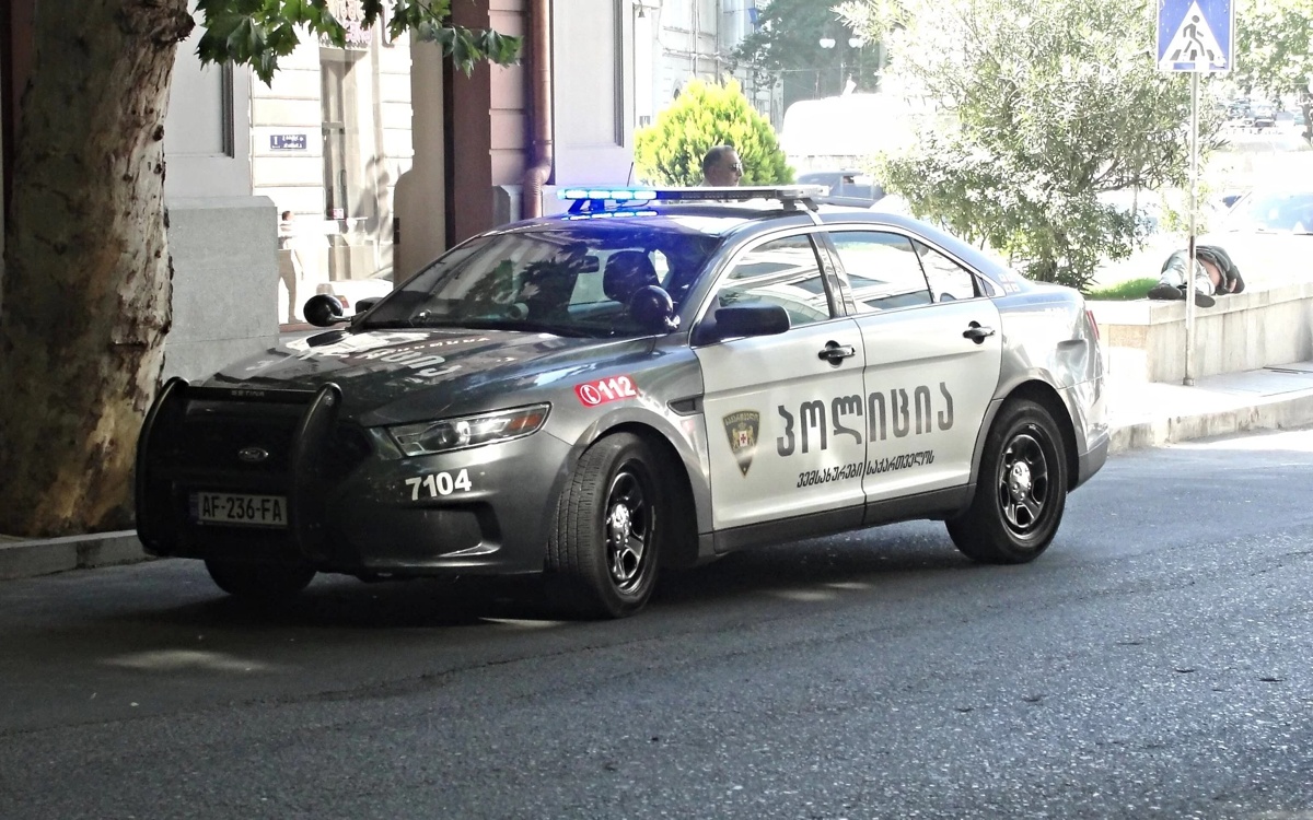 В Грузии задержан экс-министр обороны по обвинению в организации беспорядков