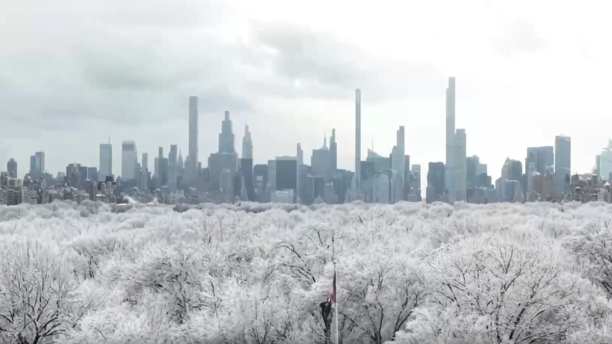 Зимний шторм накрыл часть США: отменены сотни авиарейсов