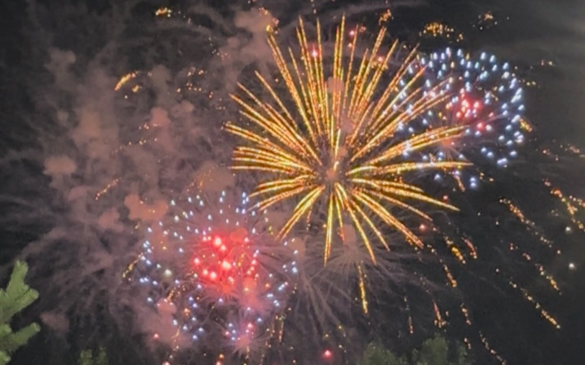 Медики призвали к запрету фейерверков в Германии