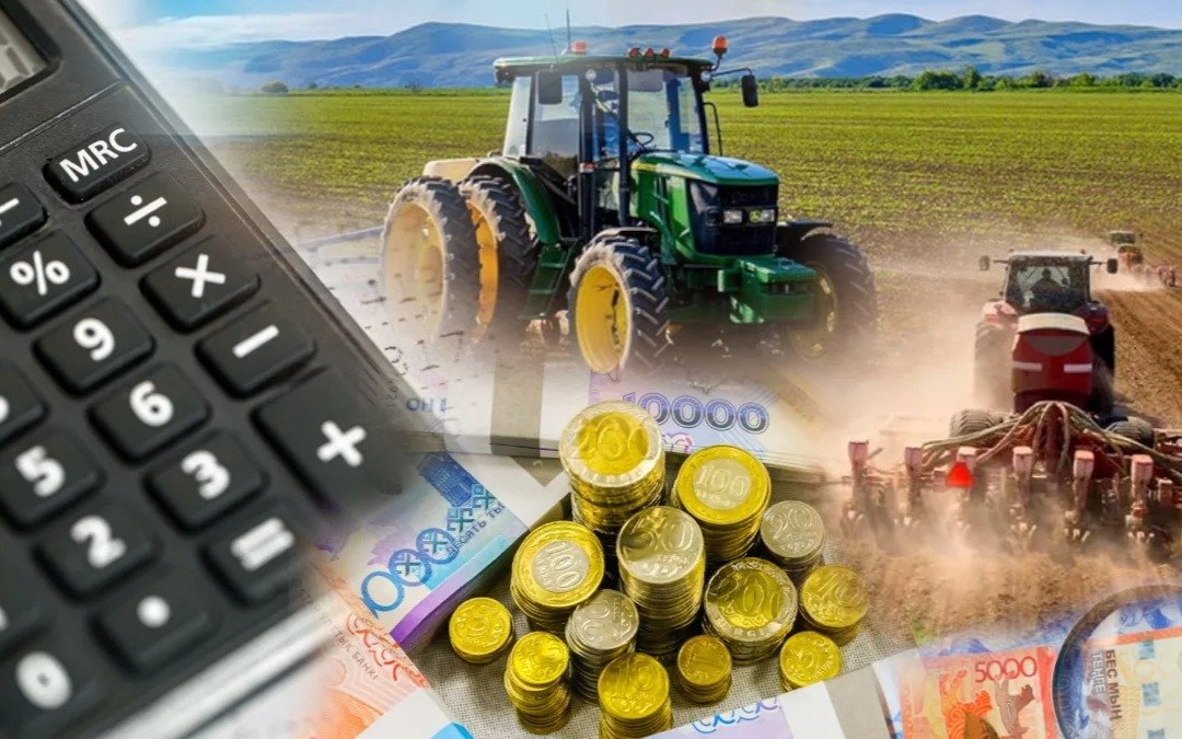 Аграрии Казахстана получили рекордный триллион тенге льготных кредитов в 2025 году