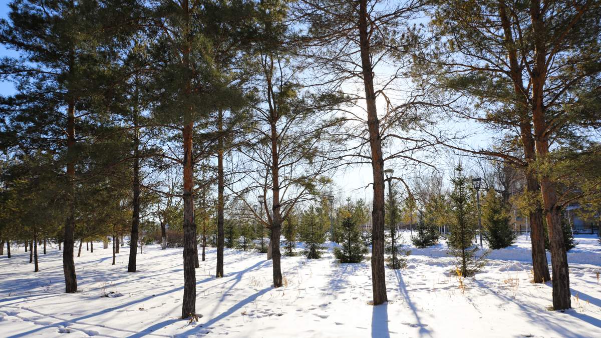 Январь в Казахстане будет теплее обычного