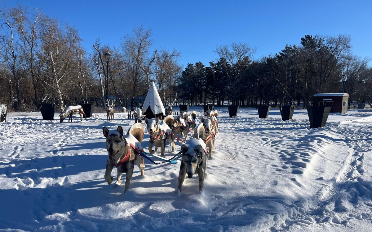 Где покататься и отдохнуть: зимние развлечения в Караганде