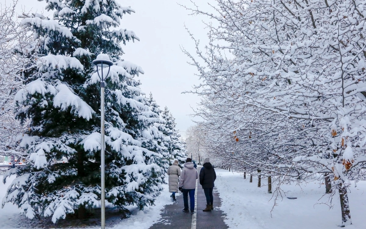 Снег и метель накроют большую часть Казахстана