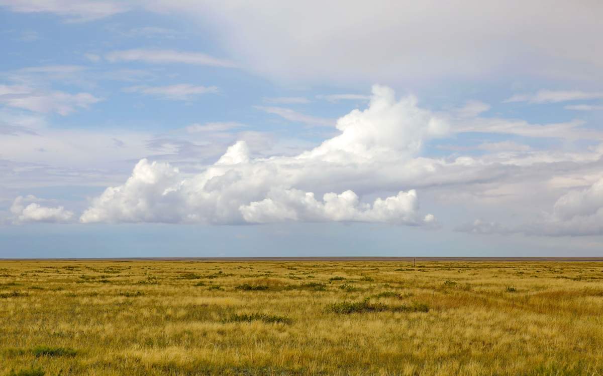 2,1 млн га неиспользуемых земель в Казахстане досрочно вернули в госсобственность